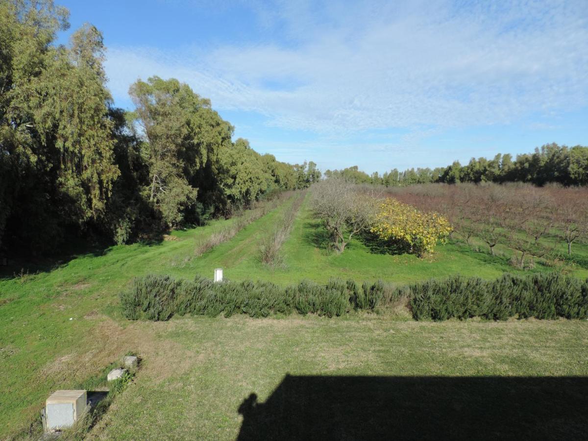 Agriturismo I Doni Del Mandorlo Αλγκέρο Εξωτερικό φωτογραφία