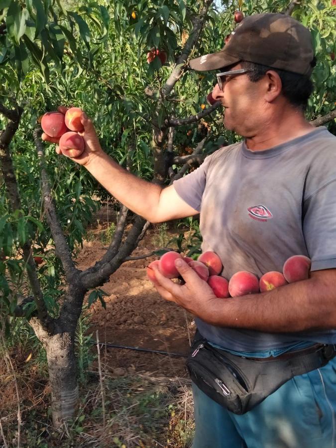 Agriturismo I Doni Del Mandorlo Αλγκέρο Εξωτερικό φωτογραφία