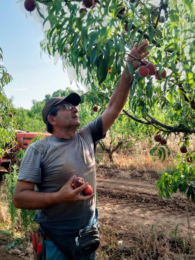 Agriturismo I Doni Del Mandorlo Αλγκέρο Εξωτερικό φωτογραφία